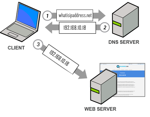 Aux dns. Domain name System. DNS имя компьютера. СУБД картинки. DNS b34y драйвера.