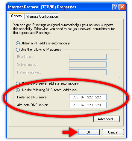 Выберите верный ip адрес. IP address как выглядит. Как выглядит IP адрес. DNS Server IP. Как может выглядеть IP адрес.