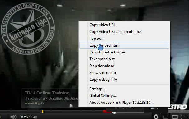 Video url. How to copy Video' URL?.