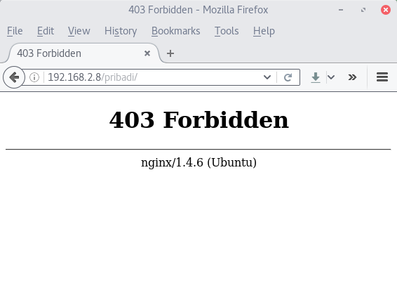 403 forbidden pubg