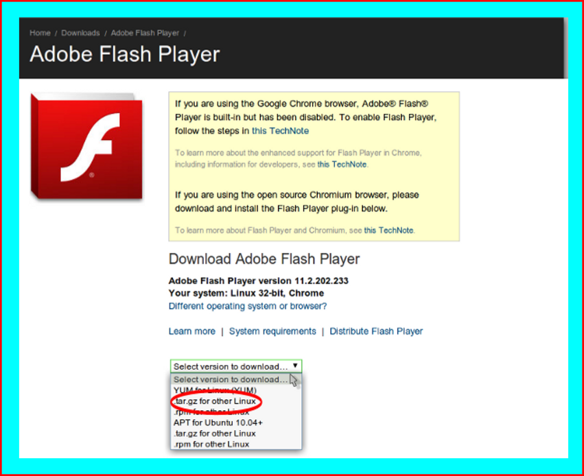 Browsers flash player. Flash Player Chrome. Адобе флеш ридер. Flash Player без браузера. Флеш плеер этш кодек.