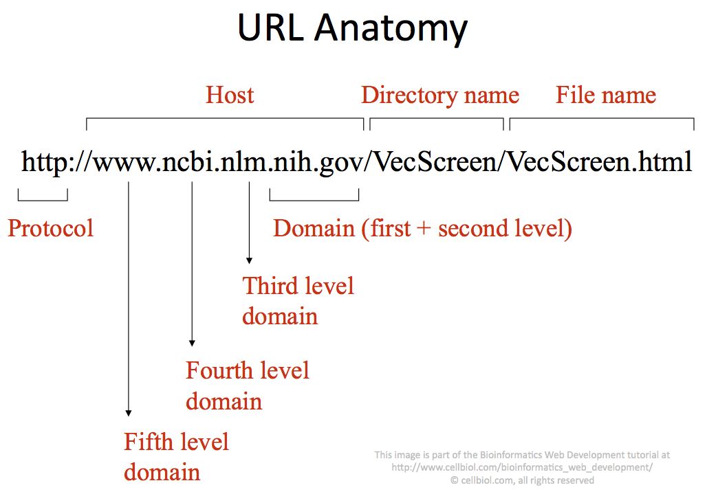 Схема url адрес