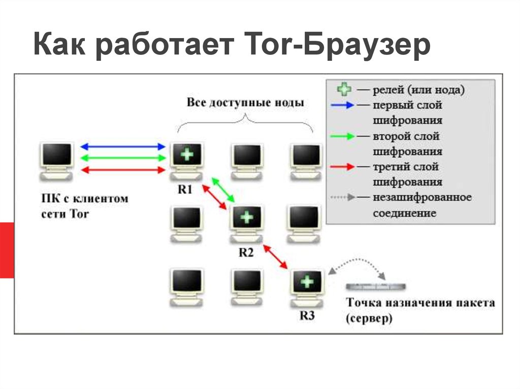 Browser network. Схема сети Tor. Как работает сеть тор. Схема работы тор браузера. Как работает тор браузер.