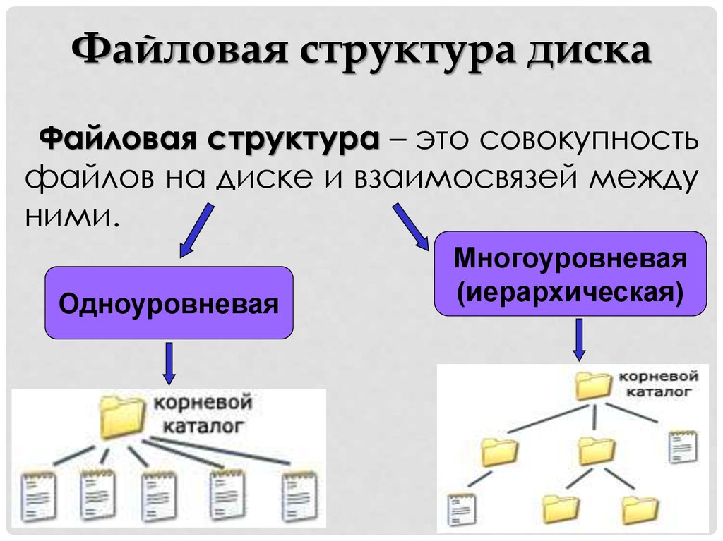 Файлы и файловые структуры 7 класс