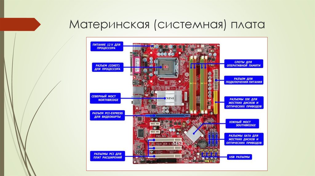 Является механической основой всей электронной схемы компьютера имеет разъемы для установки