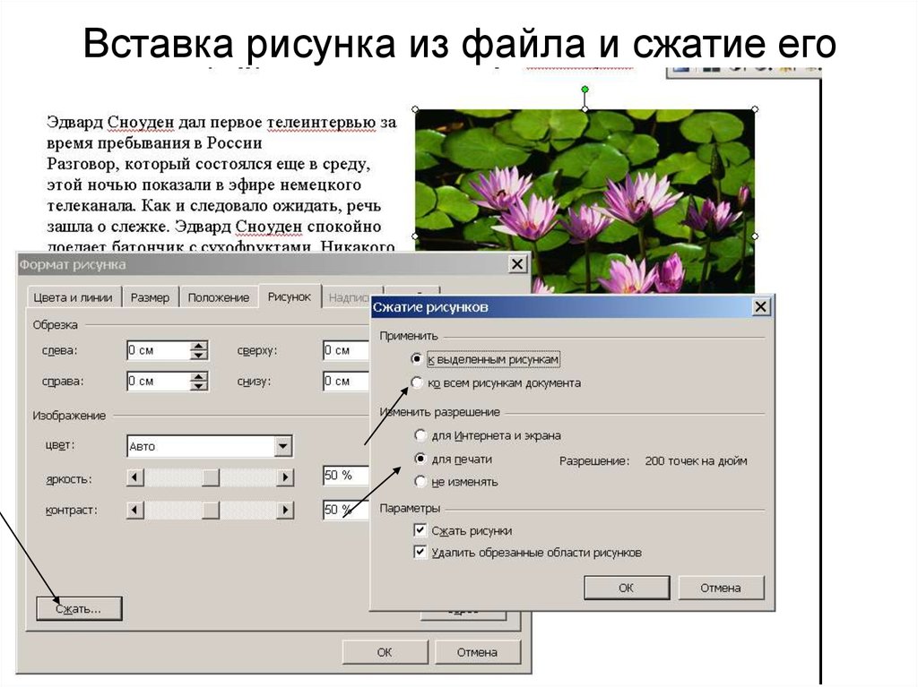 Сжать картинку до нужного размера. Сжатие рисунок. Сжать изображение в презентации. Сжать рисунки в презентации. Вставка рисунка из файла.