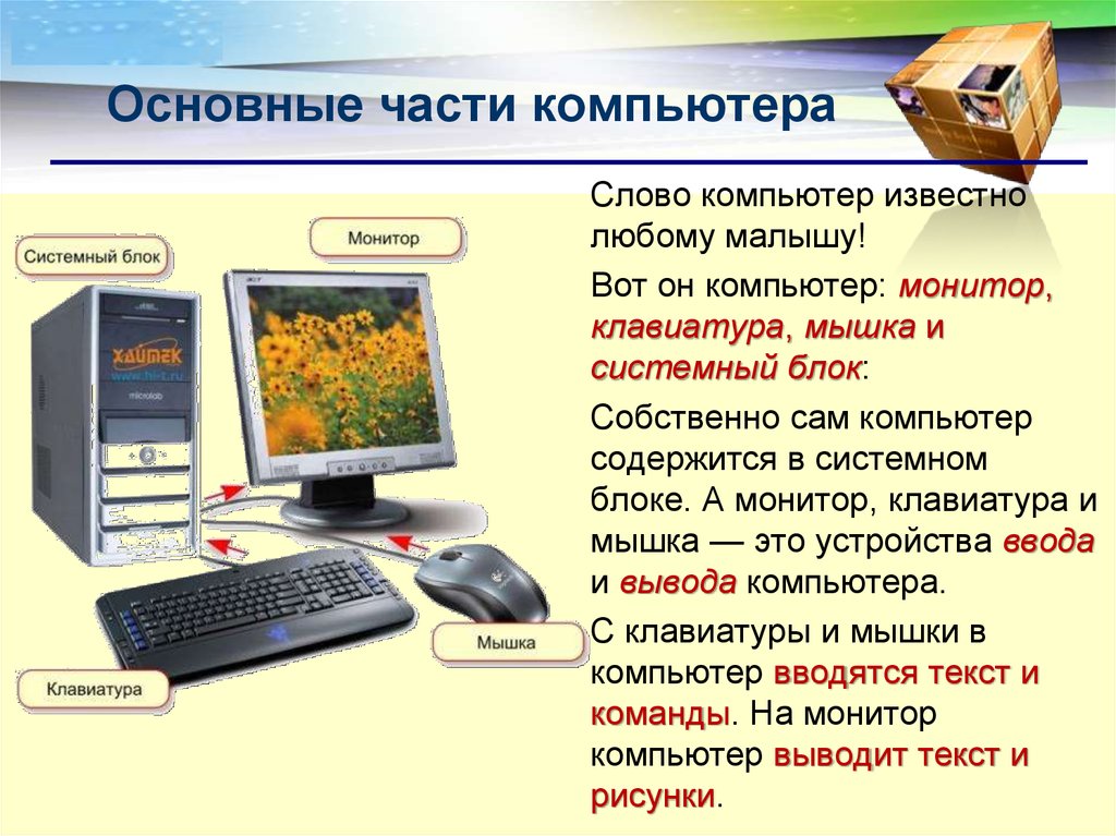 Для создания картинки на персональном компьютере пк нужна специальная программа которая называется