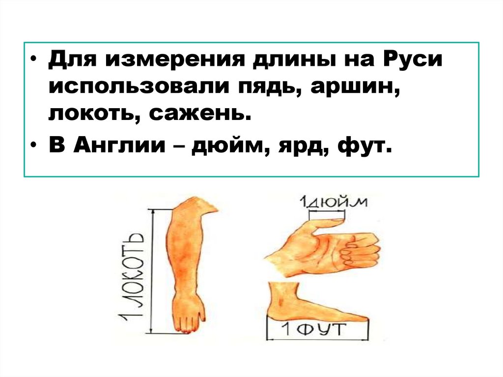 1 фут в метрах. Измерение длины пядь. Измерение длины на Руси. Пядь локоть сажень. Меры длины пядь локоть сажень.