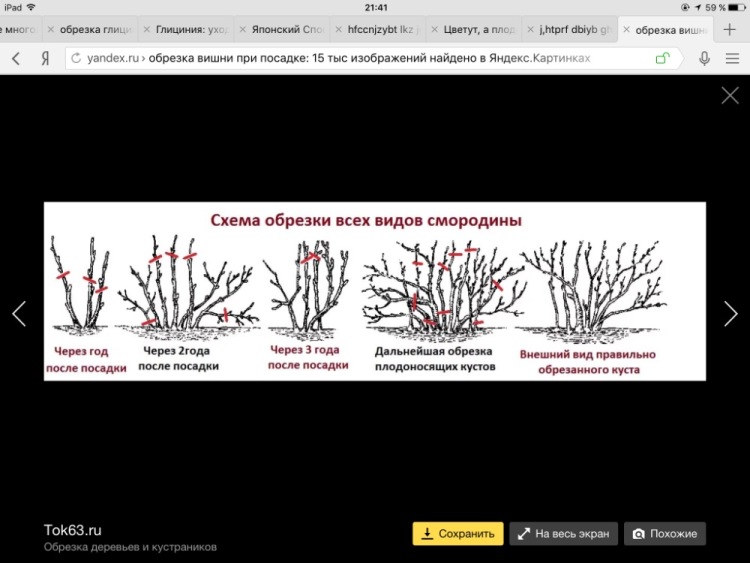 Обрезка тв