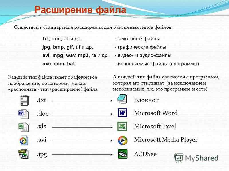 Некое растровое изображение было сохранено в файле p1 bmp