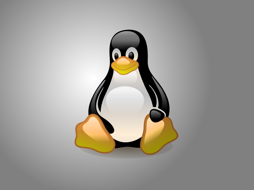 Образ linux. Убунту Пингвин. Линукс bmp. ОС GNU/Linux. Пингвин линукс минт.