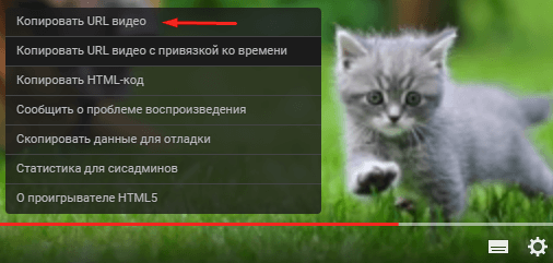 Video url. Копировать URL. Что такое Скопировать урл. URL видео. Как Скопировать URL видео.