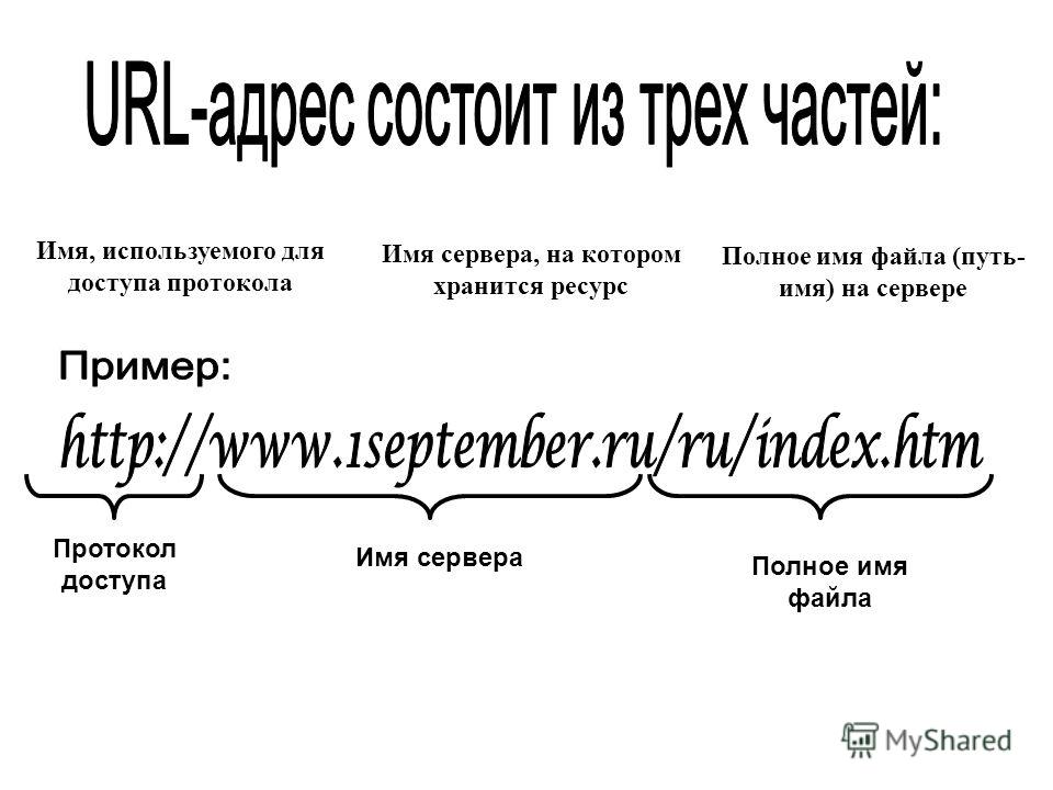 Образец ссылки информатика