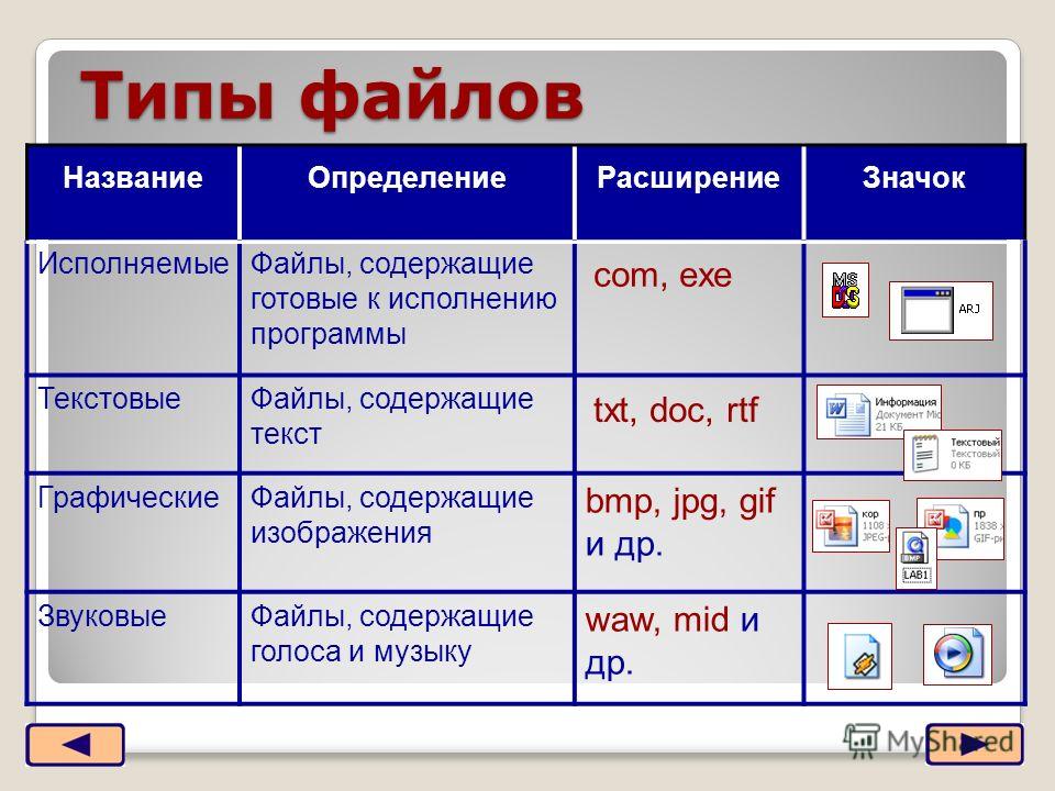 Каталог содержит информацию о. Типы файлов и программы. Название файлов Информатика. Типы программ Информатика. Типы файлов в информатике.