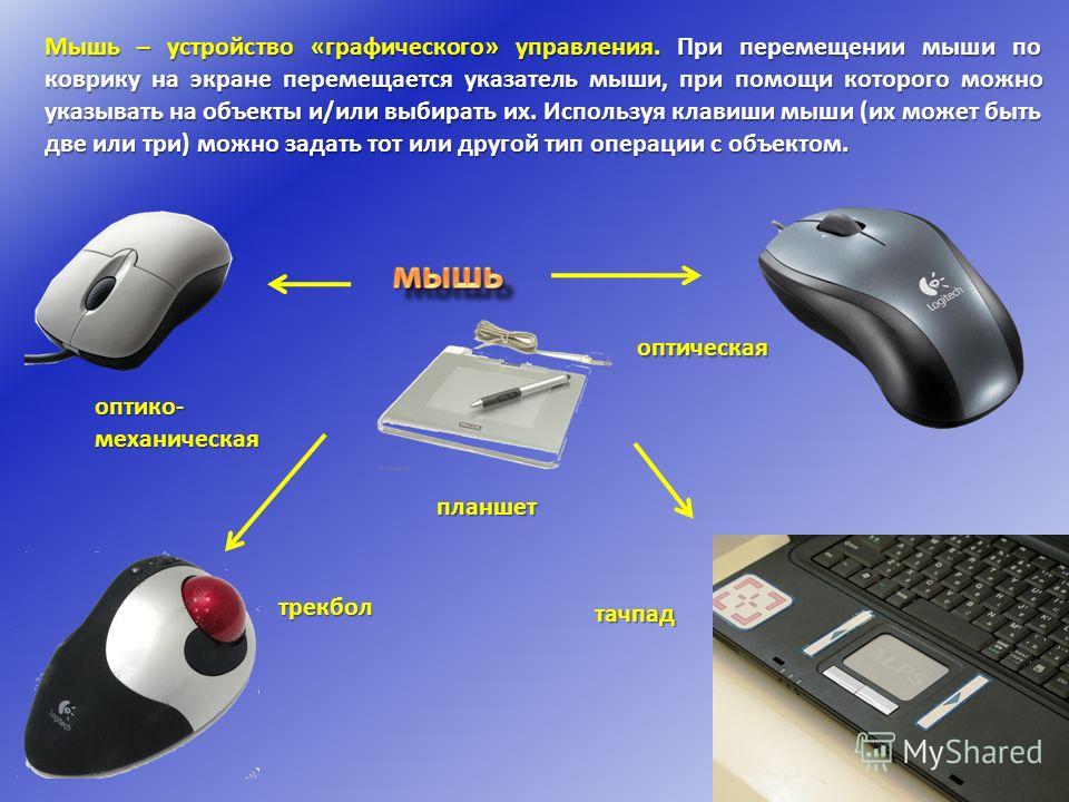 Графические устройства. Мышка с экраном снизу. Мышь устройство графического управления. Устройства управления курсором. Устройство управления.
