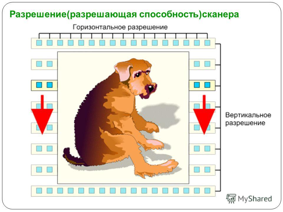 Сканируйте цветное изображение размером 10х15 см разрешающая способность сканера 600x600 dpi глубина