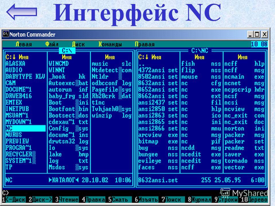 Интерфейс файла. Программная оболочка Norton Commander. Операционная оболочка Norton Commander. Операционная система Нортон командер. Нортон файловый менеджер.