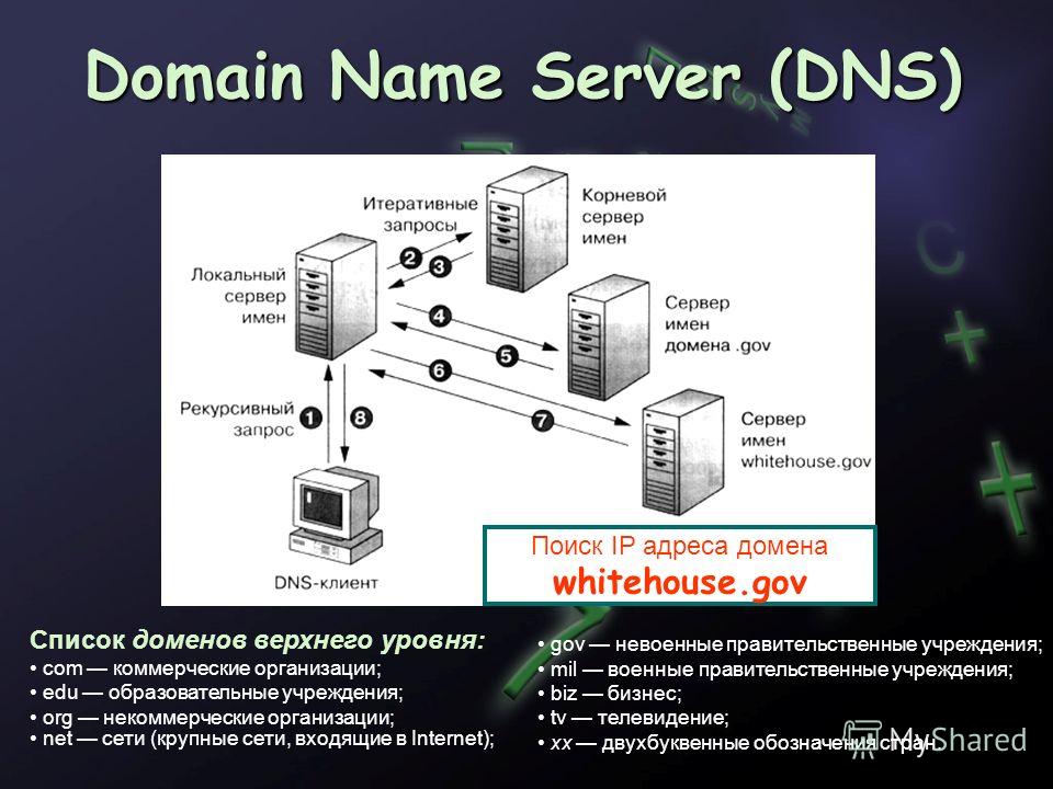 Dns domain name system