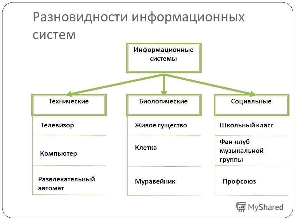 Виды информационной службы. Виды информационных систем. Типы информационных структур. Типы ИС Информатика.