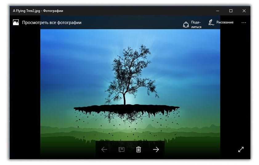 Программа фотографии windows 10. Стандартный просмотрщик изображений. Стандартные программы для просмотра изображений. Просмотрщик изображений Windows. Программа виндовс для просмотра изображений.