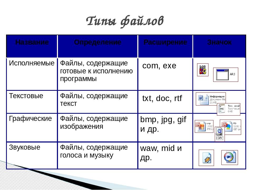 Таблица Тип файла свойства файла. Типы файлов в информатике. Типы программы типы файлов. Типы файлов и расширения Информатика 5 класс.