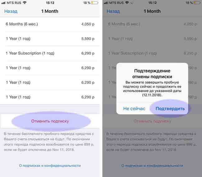 Как отменить подписку приложения на айфоне платного. Отменить подписку. Убрать подписку в айфоне. Отказаться от подписки на айфоне. Подписка в приложении.