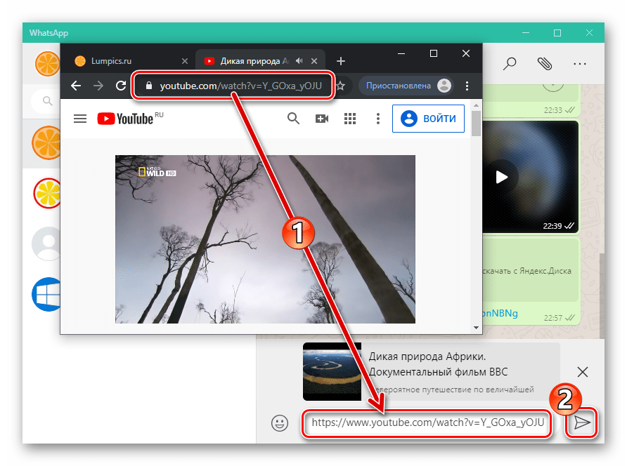 Длинные видео ватсап. Ютуб как отправить фото. Как отправить видео с youtube через WHATSAPP. Как отправить ссылку ютуба в ватсап. Как отправить видео в ютуб.