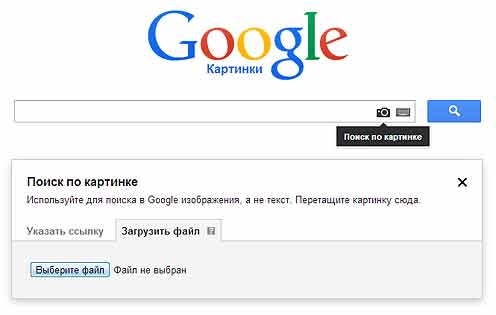 Гугл картинки найти. Гугл картинки поиск по картинкам. Google поиск по фото. Гугл по фото поиск по картинке. Гугл поиск по фотографии человека.