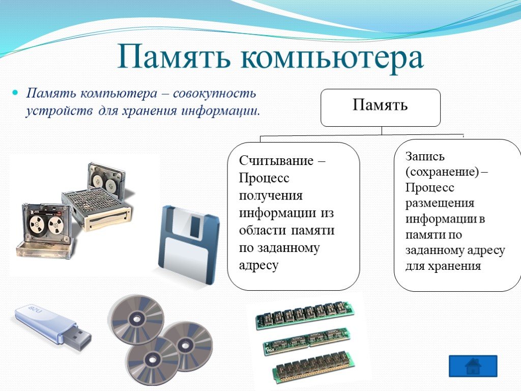 Заполни схему хранения информации