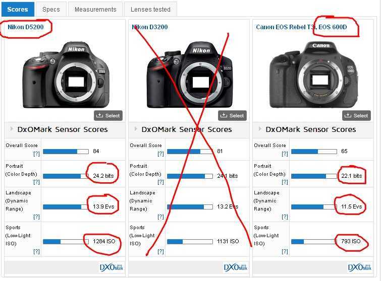 Canon nikon сравнение. Таблица характеристик фотоаппаратов Canon. Таблица фотоаппаратов Nikon. Сравнить фотоаппарат Canon. Линейка фотоаппаратов Кэнон.
