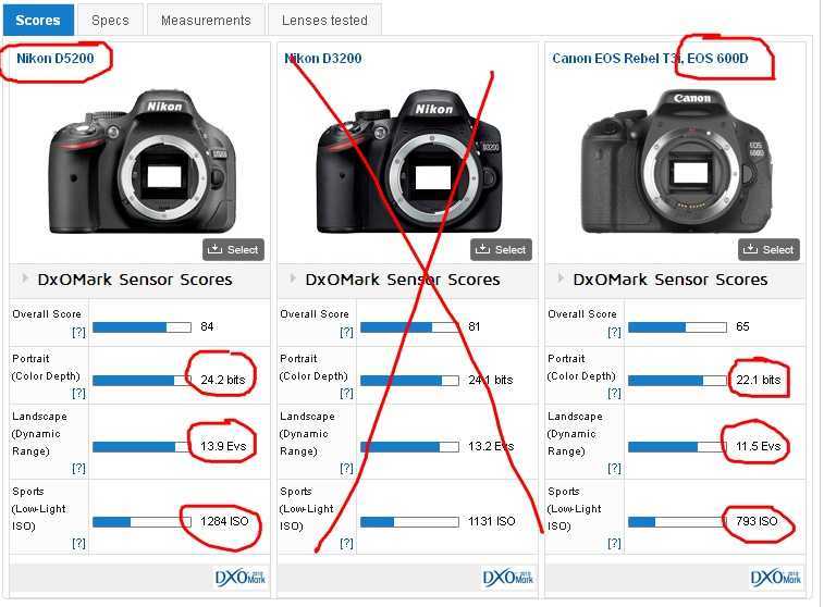 Никоны фотоаппараты лучше кэнон. Фотоаппараты Canon характеристики таблица. Таблица фотоаппаратов Nikon. Никон таблица фотоаппаратов. Таблица фотоаппаратов Canon и Nikon.