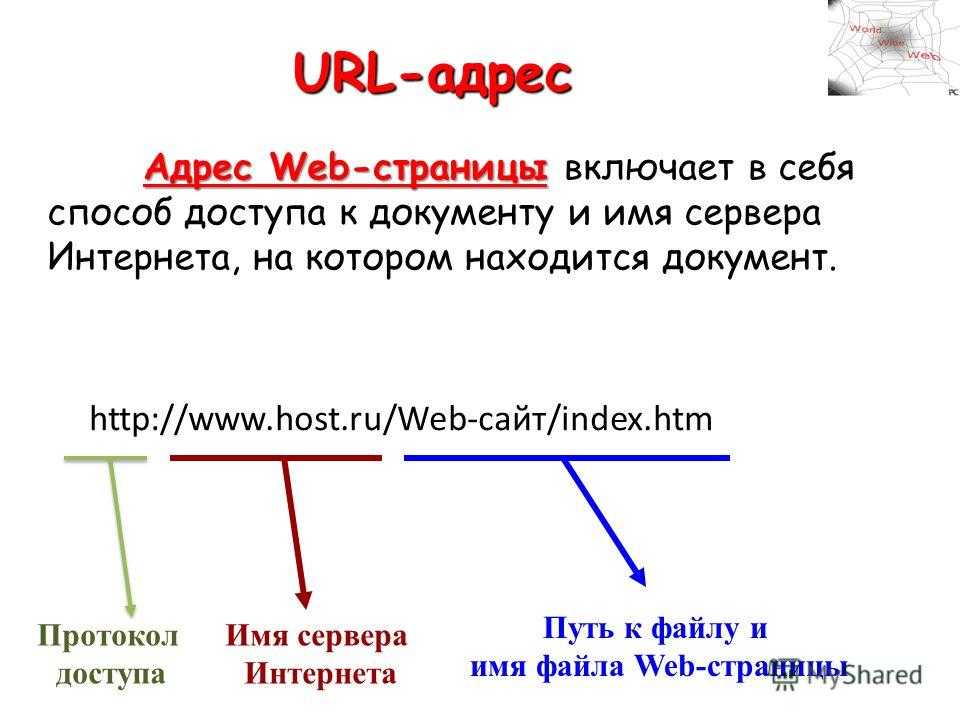 Url картинки это