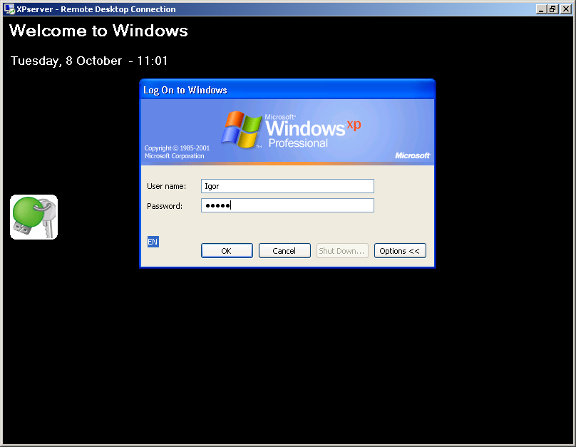 Пароль входа xp. Виндовс хр пароль. Авторизация Windows. Окно авторизации. Окно ввода пароля Windows XP.