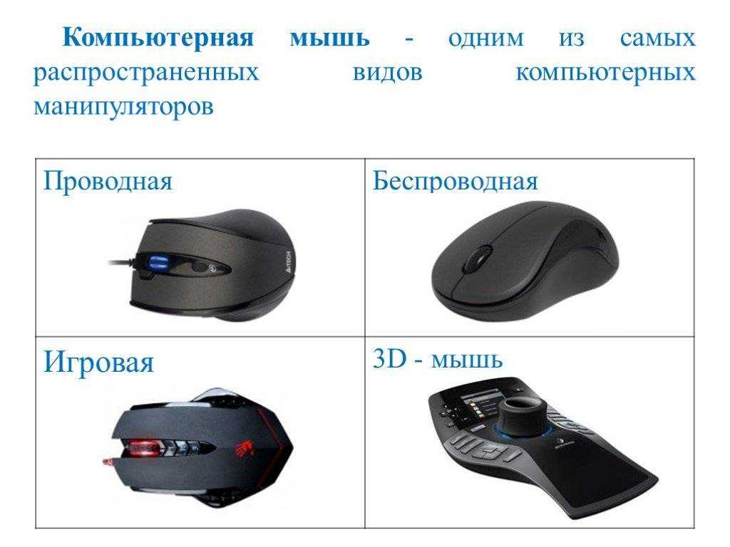 Какие типы мышей. Манипуляторы (компьютерные мыши, джойстики, миди-клавиатуры);. Компьютерная мышь вид спереди. Типы компьютерных мышек. Формы компьютерных мышек.