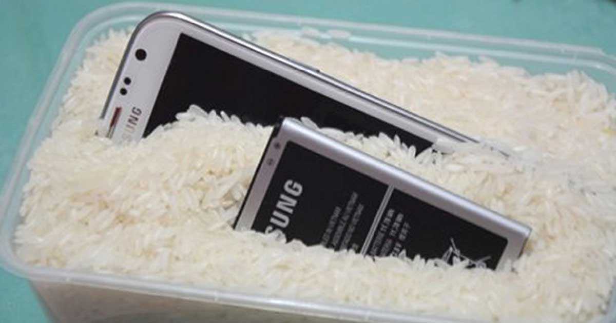 Вода в смартфоне что делать. Смартфон в рисе. Если телефон намок. Сушка телефона в рисе. Высушить телефон в рисе.