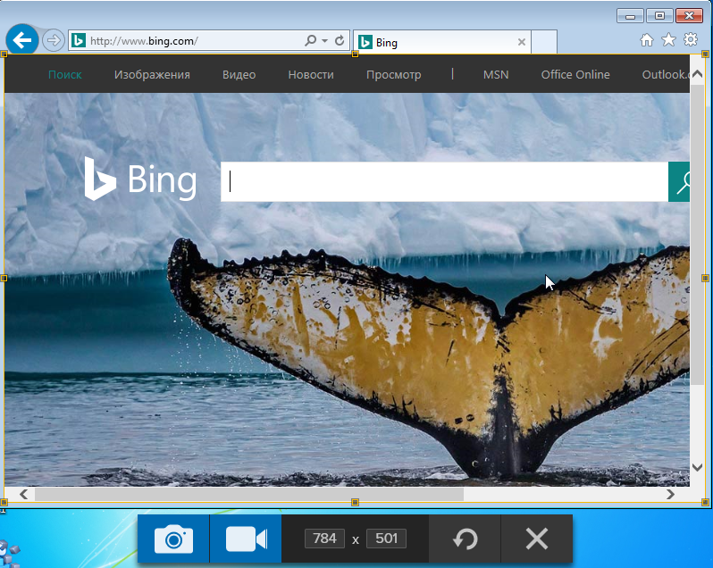 Bing поиск картинки