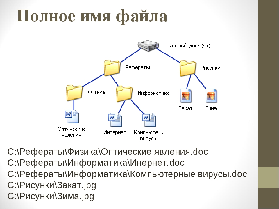 Практическая работа файл. Файловые структуры 7 класс Информатика. Задачи по информатике 7 класс файловая структура. Файлы и файловые структуры 7 класс. Файловая структура диска Информатика 7.