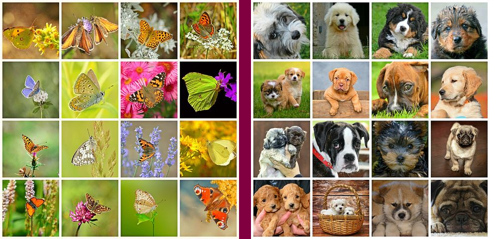 коллаж в форме