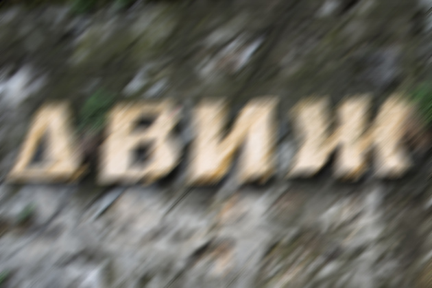 «Шевелёнка» — смаз изображения от дрожания камеры в руках. Изображение целиком выглядит как бы смазанным, причем мы можем почти всегда проследить направление смещения камеры в момент съемки. Это — верный признак «шевеленки». 