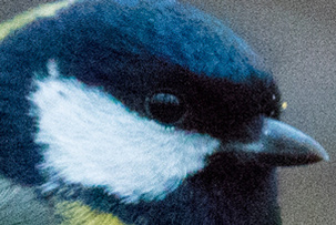 Фрагмент кадра при 100% увеличении