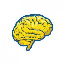 Записки неадекватного главбуха: зачем бухгалтеру мозги и 1С