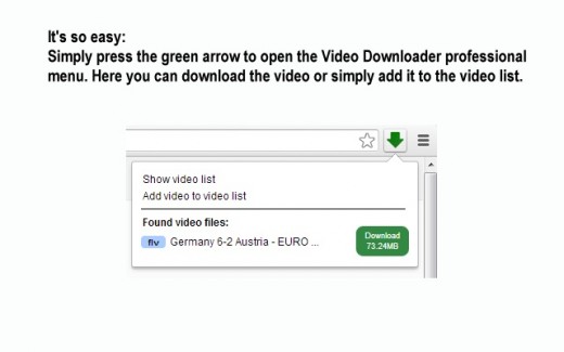 Video Downloader professional