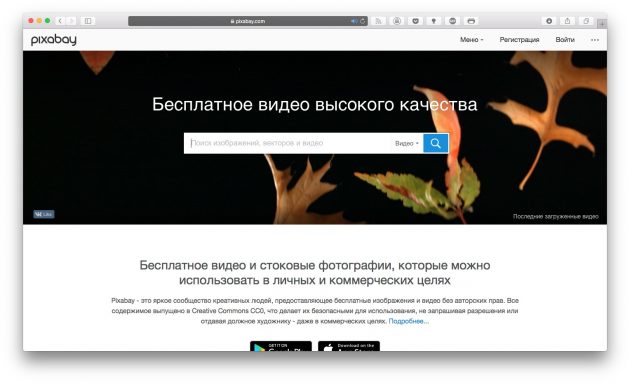 стоковые видео: Pixabay Videos