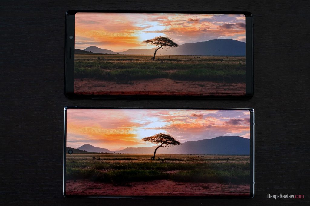 сравнение экранов Galaxy Note 9 и Galaxy Note 10+