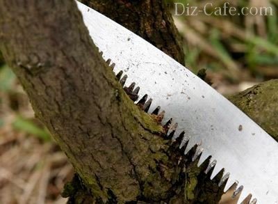 Ножовочное полотно