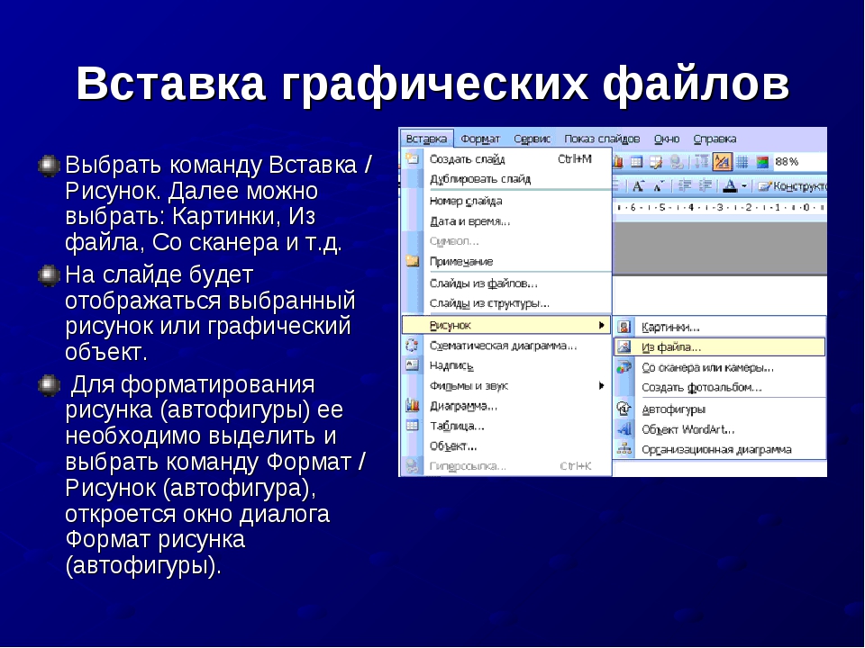 Как вставить картинку и текст в слайд