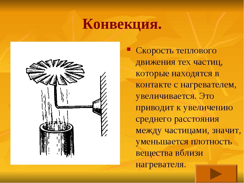 Естественная конвекция в жидкости