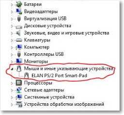 тачпад в диспетчере устройств тачпад в диспетчере устройств