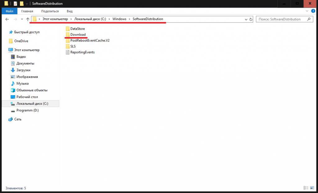 Папка обновлений SoftwareDistribution и ее содержимое