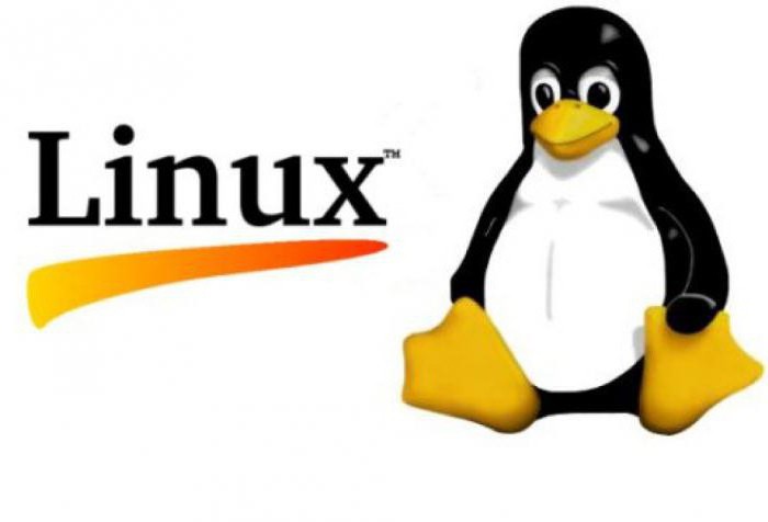 система линукс